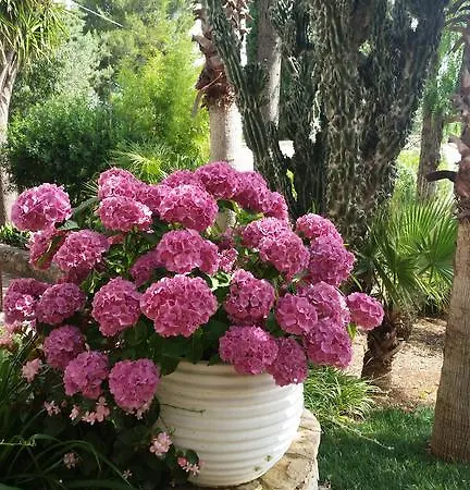 Massa Piscina Villa *